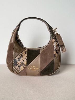 NWT Coach Carmen Mini Crossbody Bag With Patchwork Top handle Mushroom CCE62